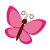 butterfly